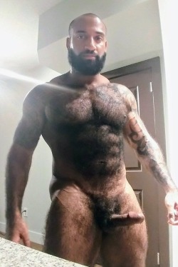 rachid94cho:  Superbe beau male poilu