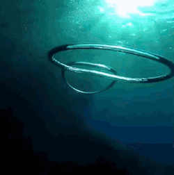 fuckyeahfluiddynamics: In slow motion, vortex rings can be truly