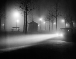 onlyoldphotography:  Brassaï: Avenue de l’Observatoire, 1934