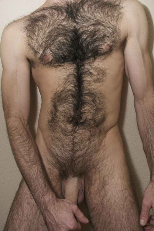 hairyindianguy.tumblr.com/post/44961512396/