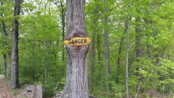 photorator:  Tree swallowing a danger sign  x-post rphotoshopbattles