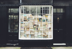 wordpainting:   The window into my soul is filled with books