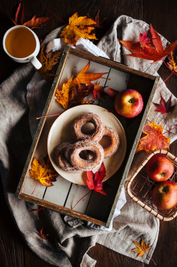 guardians-of-the-food:  Apple Cider Doughnuts