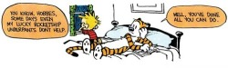 daiday65:  Calvin has a dose of triskaidekaphobia…………