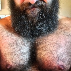 hexmota:  Beard & Pecs