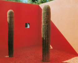 aqqindex:  Martha Schwartz, Garden El Paso, Texas 