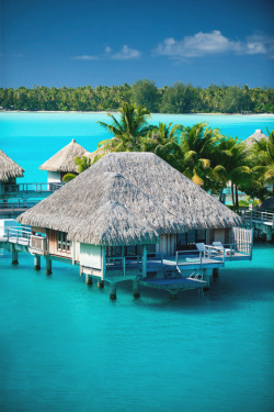 italian-luxury:  Bora Bora  just need to get away…