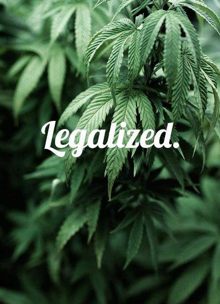 always-more-weed:  Never pay for Weed again - Click here