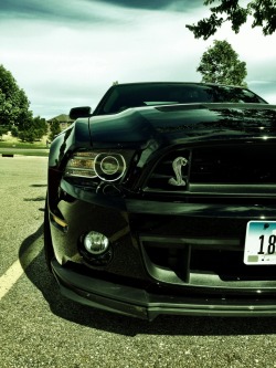 noregretz45:  One day, I will have one of these. 2013 Ford Mustang