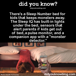 devypenguin:  did-you-kno:  There’s a Sleep Number bed for
