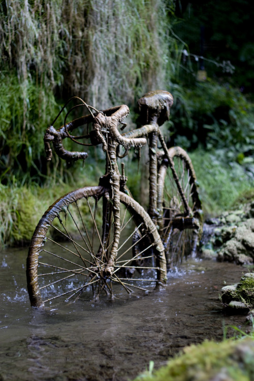 “Petrified Stone Bike” by Mick C (aug. 23, 2014)