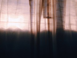 artboob:  i love taking photos of my curtains at noon 