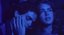 filmaticbby:Endless Love (1981) dir. Franco Zeffirelli