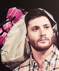 marteii:  1/9 atrociously cute things about jensen ackles;  ↳his