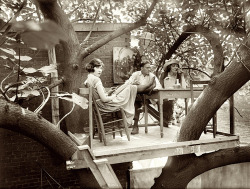 gillianhush:  chaambler:  1920’s treehouse  I want 