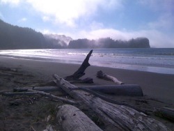 justemoinue2:Oregon Coast Morning