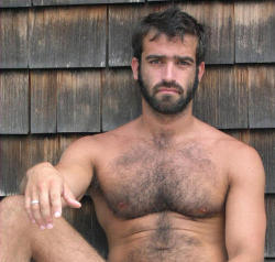 'STACHE & BEARD WONDERFUL HAIRY MEN