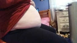 fatgirlbellylover:  fattieporker:  It’s my belly    Big bellies