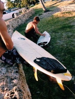 surfmind:  🏄☀️🌴🐠