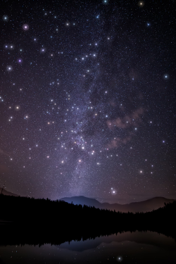 expressions-of-nature:  Special Stars : James Wheeler 