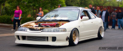 indexluxe:  Following back any and everyone!