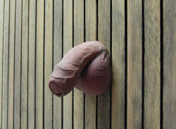 dunkthespunk:Love wall meatFollow me: http://www.tumblr.com/blog/dunkthespunk