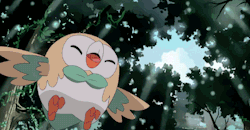 axew:  Rowlet joins the team