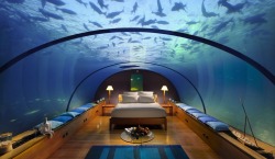sixpenceee:  Suite in an ocean bottom hotel in the Maldives.