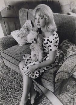 theswinginsixties:  Mandy Rice-Davies with a poodle, 1963. 