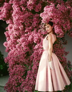 miss-vanilla:Audrey Hepburn by Norman Parkinson, Vogue US, 1955.