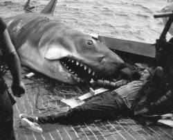 Chillin’ with the killer (Robert Shaw relaxing on set in between takes on the 1975 movie “Jaws”)