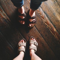 carapaigee:  Birkenstock buddy (at Pannikin Coffee & Tea)