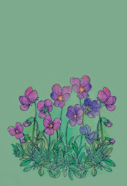 bvddhist:  anthomaniaa:  i miss spring  organic // spiritual