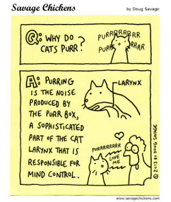  Why Do Cats Purr? © 2013 Doug Savage & Savage Chickens