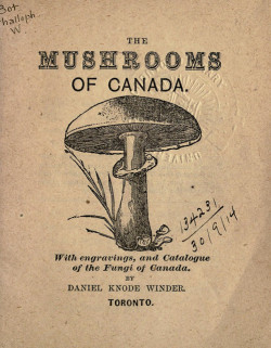 wapiti3:  The mushrooms of Canada, with engravings, and catalogue