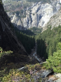nuhstalgicsoul:  It was a beautiful morning in Yosemite