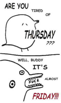 quailsatan:  quailsatan:  thursday turdburd helping u thru thursday