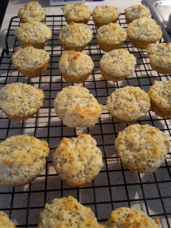 Lemon poppyseed mini muffins accomplished! Carnitas in the slow
