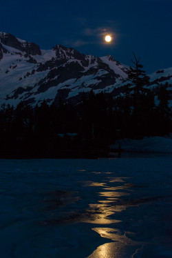 jamas-rendirse:  Moon walking, by Naushad Jamil. 