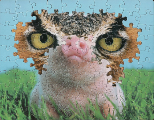 itscolossal:  Vintage Jigsaw Puzzles Blended Piece-by-Piece into