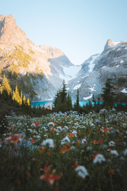 banshy:Alpine Lakes Wilderness by Nathaniel Wise U dont call