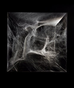 sornmag:  Artist Tomás Saraceno used spiders to create these