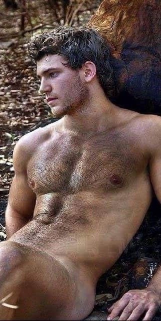 ladnkilt:  THE MALE THORAX SETTY (Latin: Male Chest Hair)…