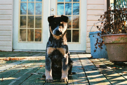 lostnaked:  Adeline. by Ashley Michele. on Flickr. 