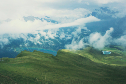 expressions-of-nature:  by M Beano Alpine Blues, Switzerland