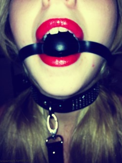 knownsub:  Leash and ball gag :) 