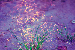 mellowboom:  Shades of light Blues & Purples- beautiful &