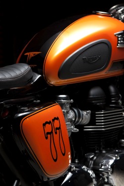 combustible-contraptions:  Triumph Bonneville | Tango Cafe Racer