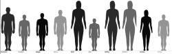 Height chart for all of @mazokhist and my own OCs combined for