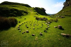 silvaris:   Fairy Glen Circle by Maya Inlé  